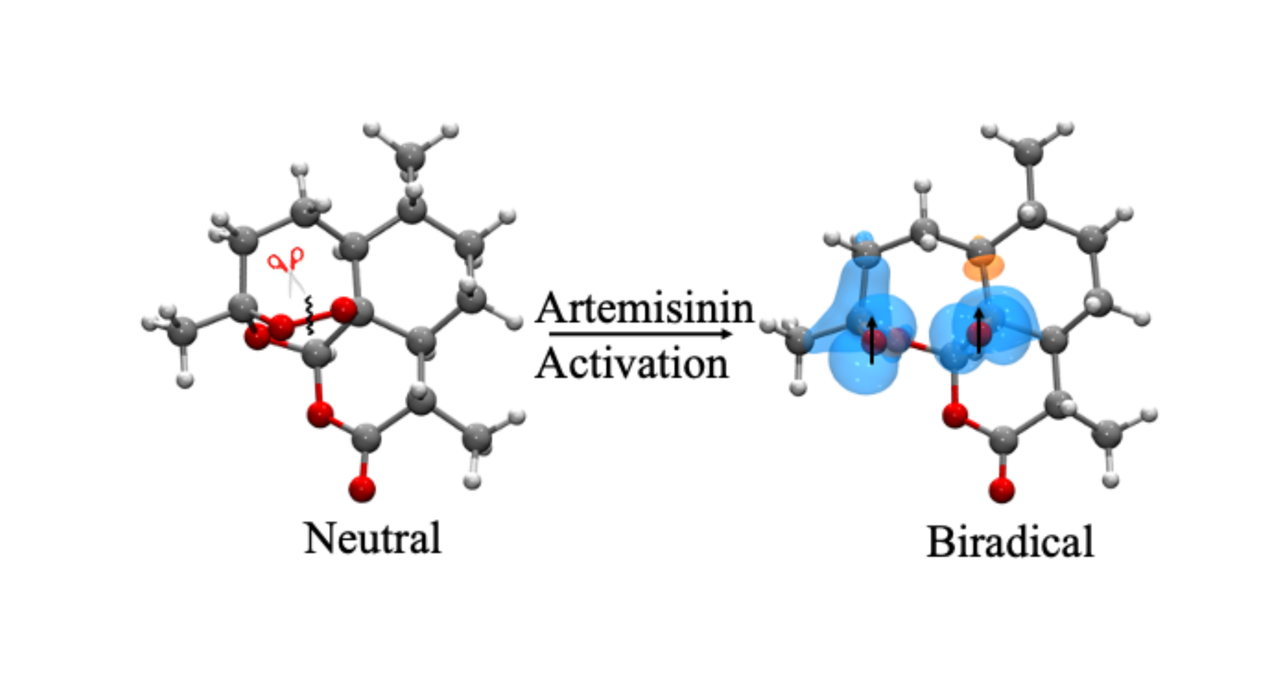 Antimalarial Drug Resistance