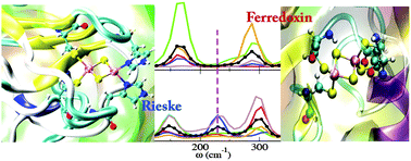 Magnetostructural dynamics of Rieske versus ferredoxin iron–sulfur cofactors