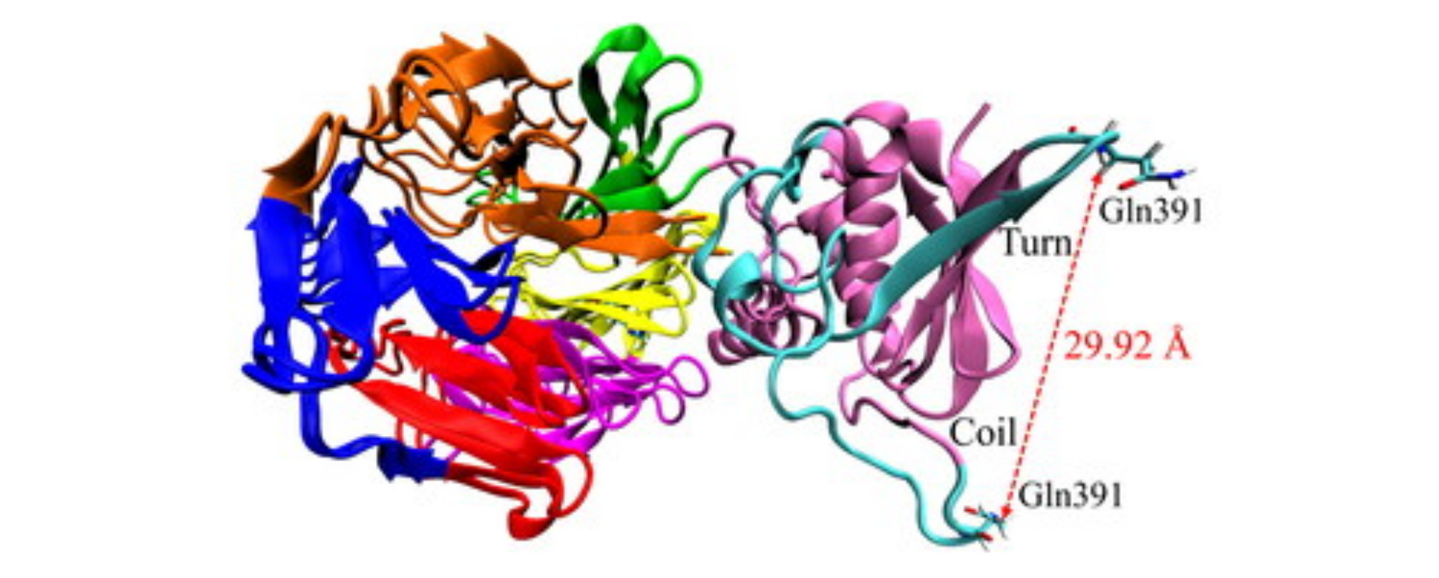 How do the Mutations in PfK13 Protein Promote Anti-Malarial Drug Resistance ?