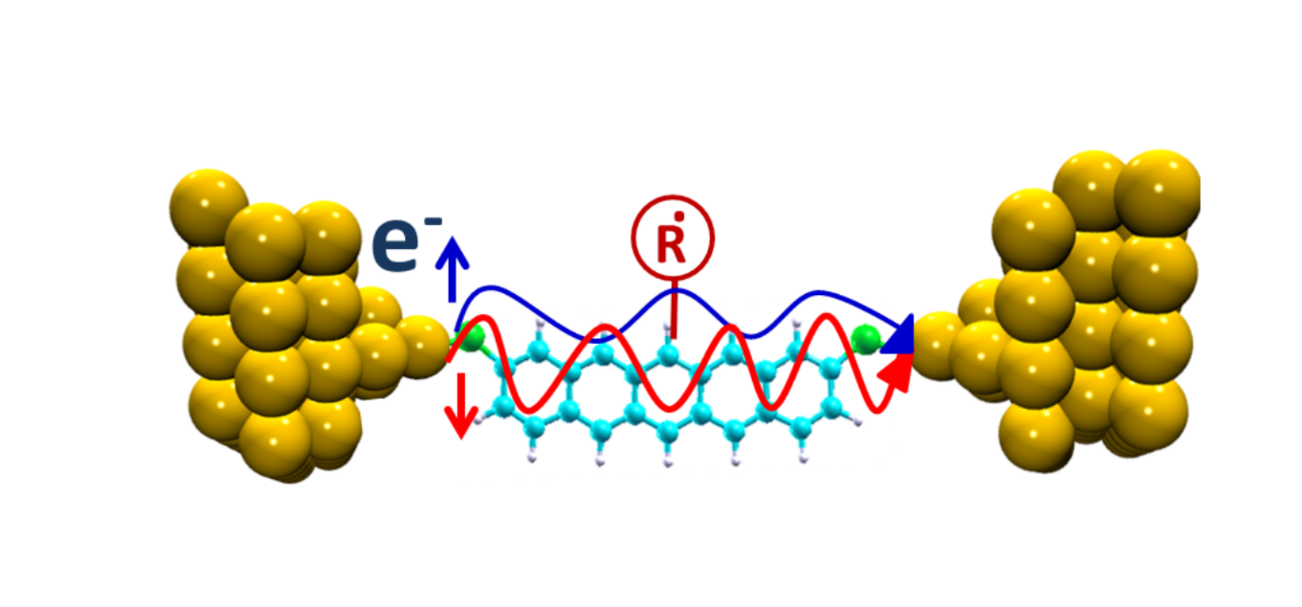 Anomalous Effect of Quantum Interference in Organic Spin Filters