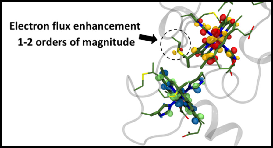 Cysteine Linkages Accelerate Electron Flow Through Tetra-Heme Protein STC