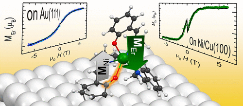 Exchange Interaction of Strongly Anisotropic Tripodal Erbium Single-Ion Magnets with Metallic Surfaces