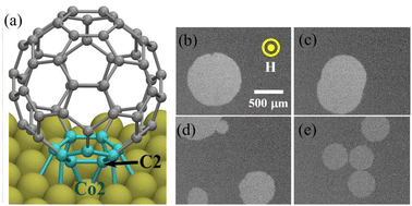 Effect of fullerene on the anisotropy, domain size and relaxation of a perpendicularly magnetized Pt/Co/C60/Pt system