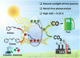 Coalescing solar-to-chemical and carbon circular economy: mediated by metal-free porphyrin and triazine-based porous organic polymer under natural sunlight