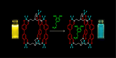 Selective naked-eye detection of dopamine using an imino-boron molecular capsule