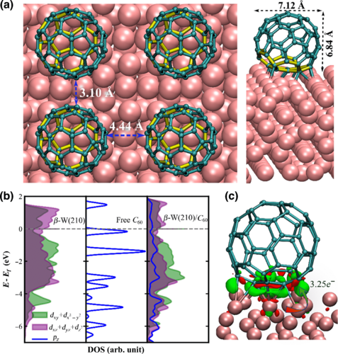 Molecular-hybridization-induced antidamping and sizeable enhanced spin-to-charge conversion in Co20⁢Fe60⁢B20/𝛽-W/C60 heterostructures
