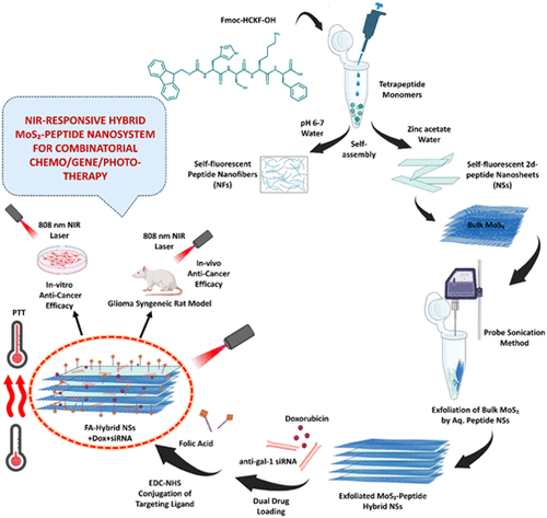 Photoresponsive and Shape-Switchable MoS2–Peptide-Hybrid Nanosystems for Enacting Photochemo and siRNA-Mediated Gene Therapy in Glioma